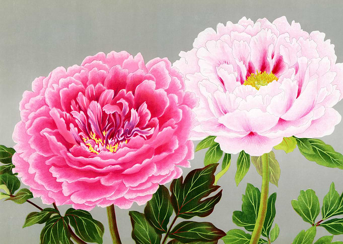 Pink peonies