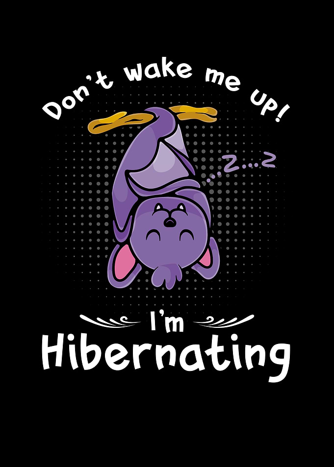 Dont wake me up Im