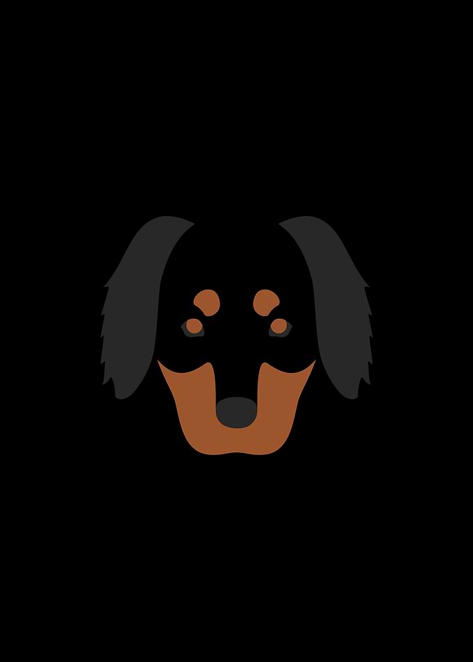 Nelson dog