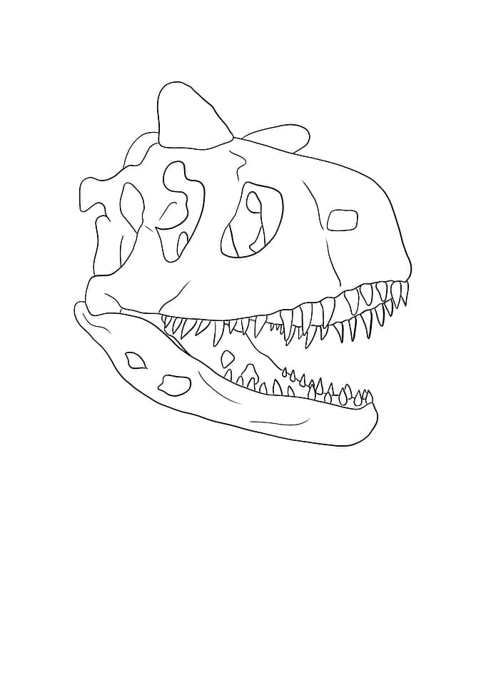 Dinosaurier Fossil Skelett