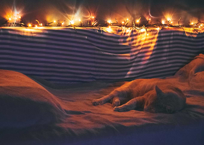 Sleepy Kramer