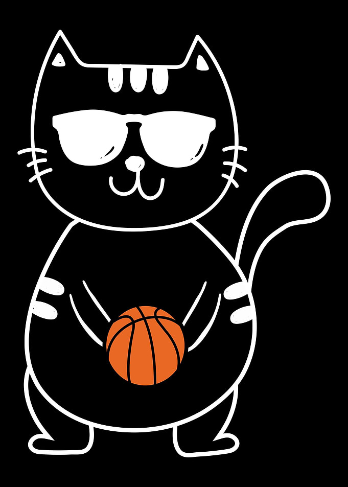Basketball Hoops
