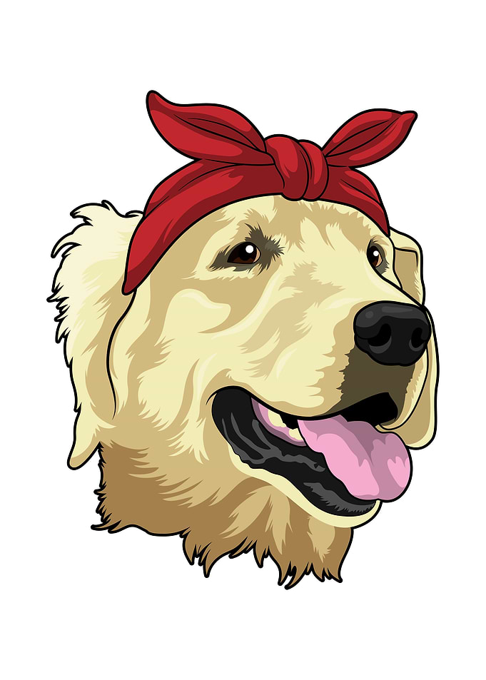 Labrador Ribbon