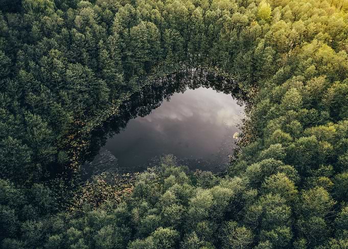 The pond