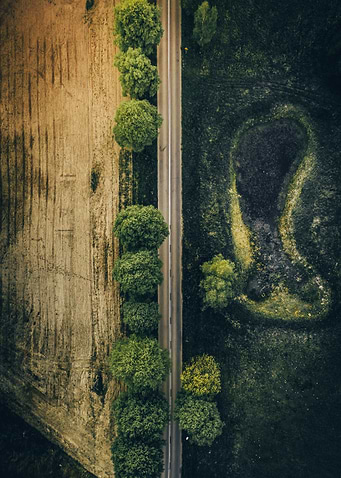 The road