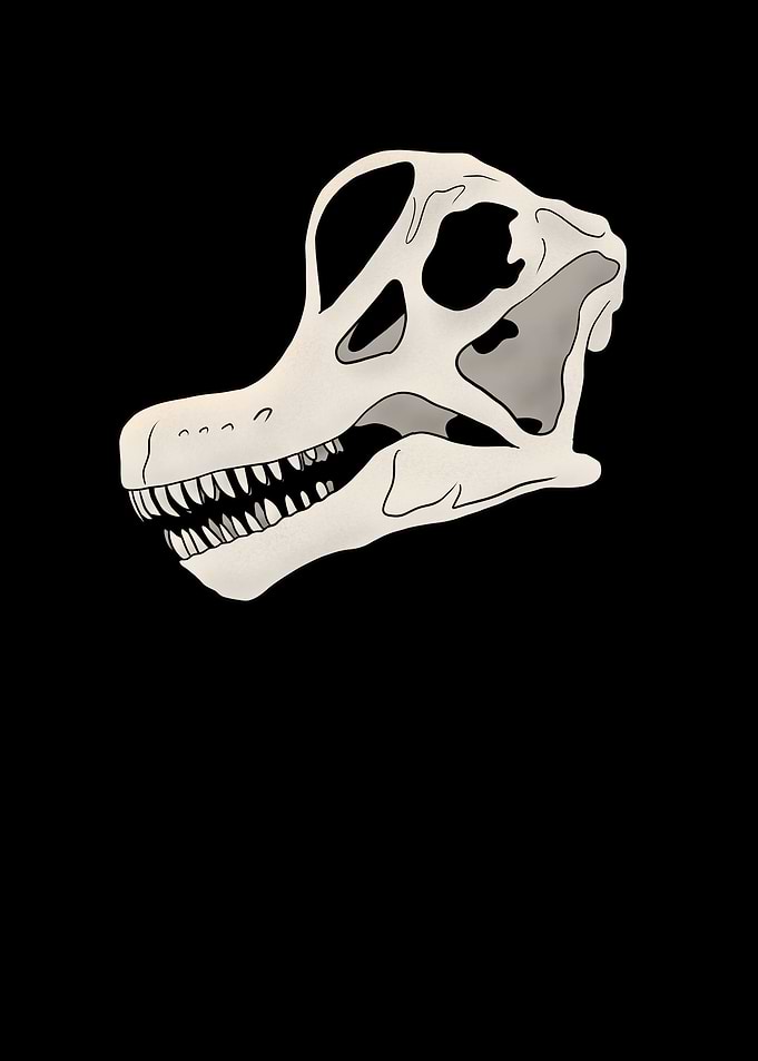 Dinosaurier Fossil Skelett