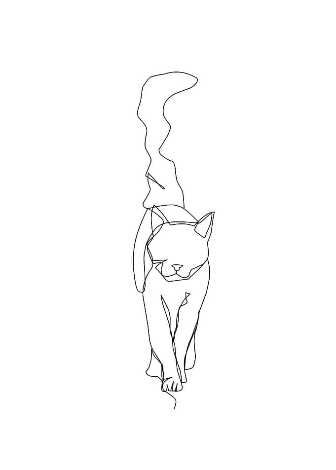 catttt
