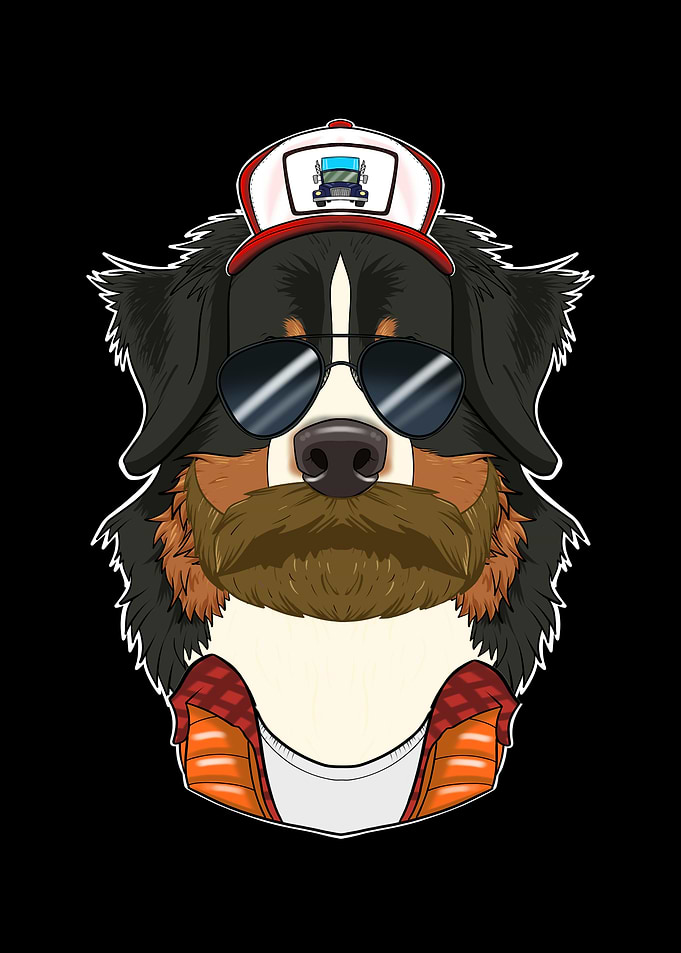 Truck Bernese Mountain Dog