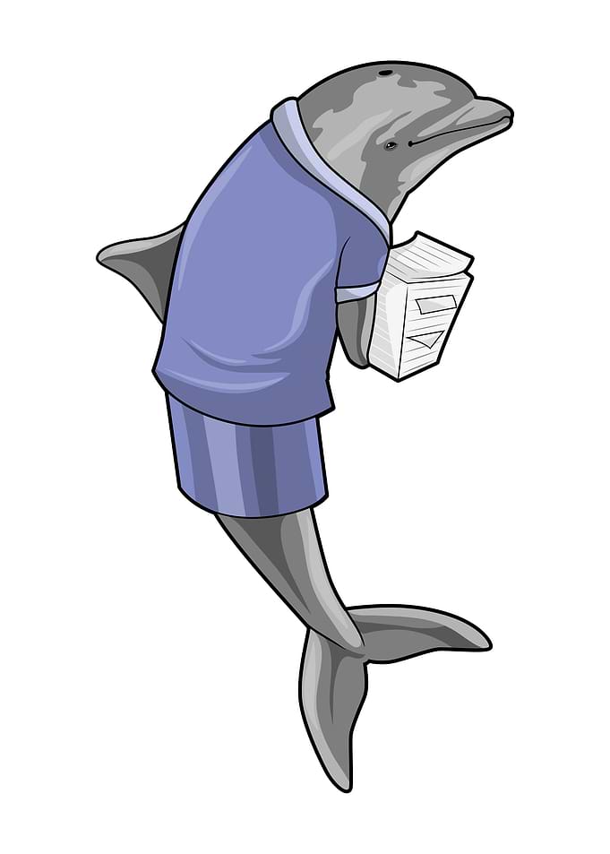 Dolphin Secretary Paper