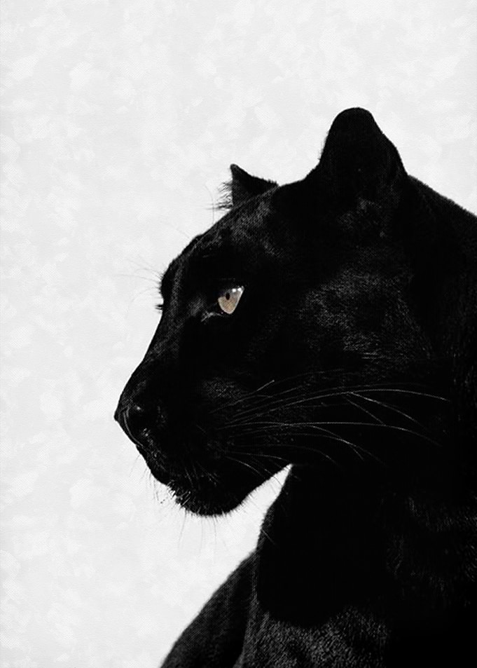 Black Panther