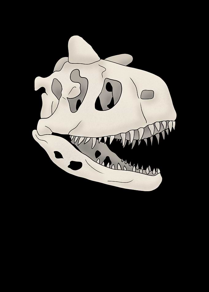 Dinosaurier Fossil Skelett