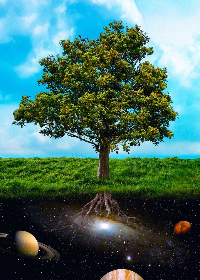 Roots