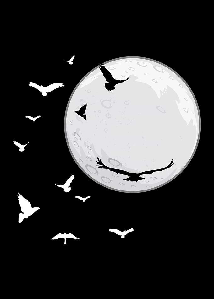 Witchcraft Moon Birds Of