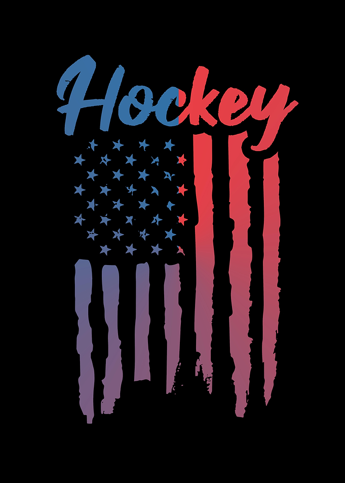 American Hockey Player