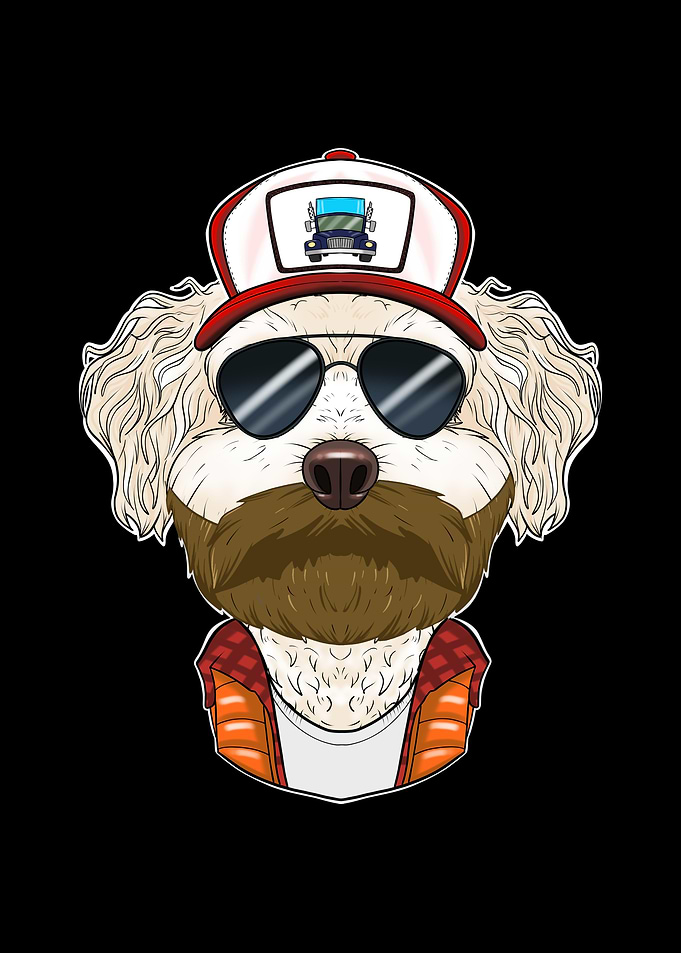 Truck Driver Bichon Frise