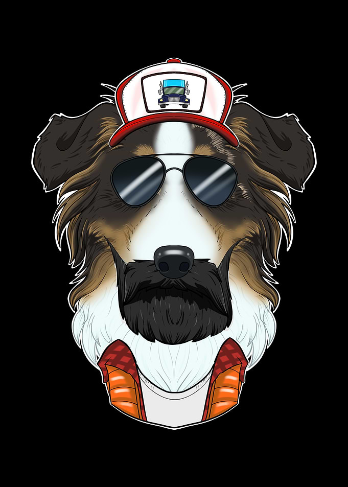 Truck Australian Shepherd
