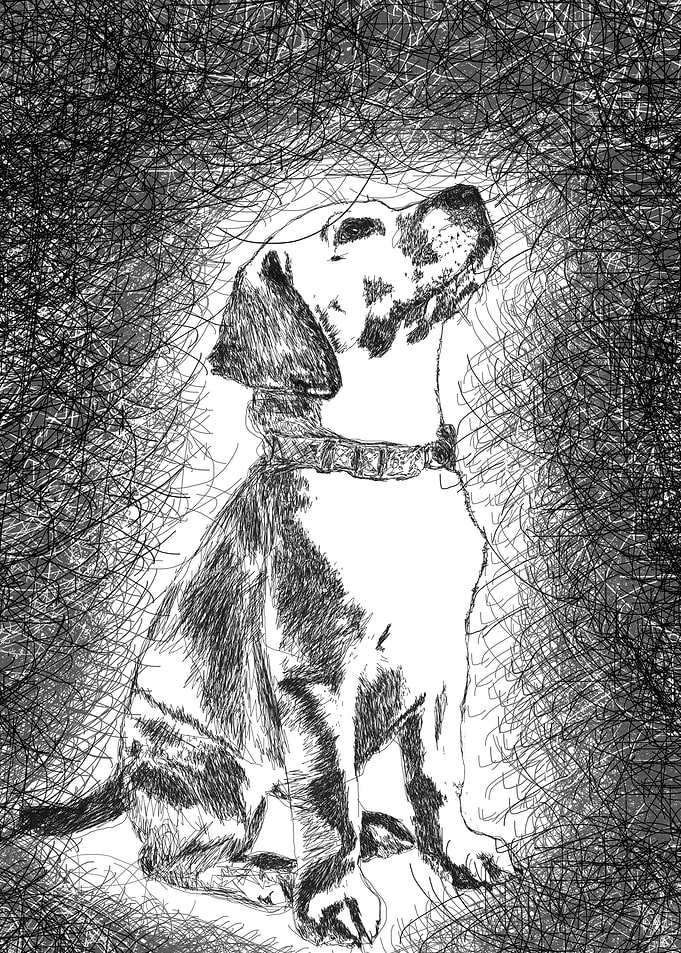 dog scribble art 1