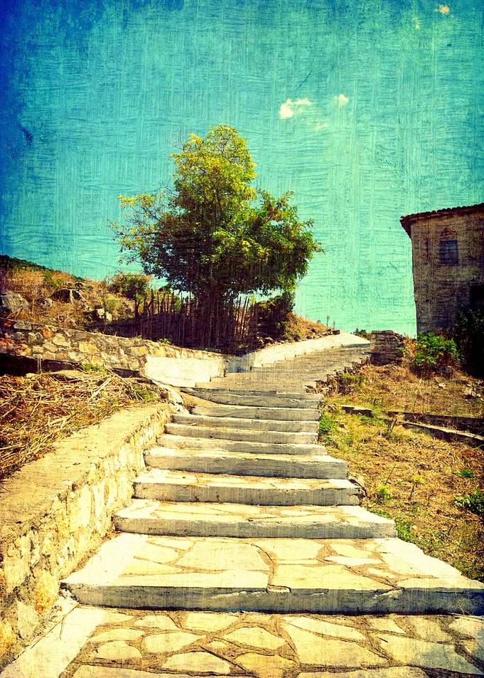 Picturesque stairs to tree