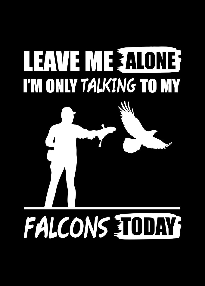 Falconer Falcon