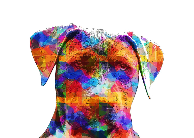 pet dog