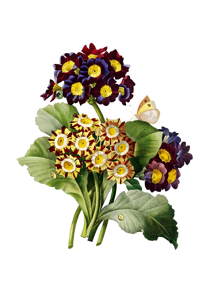 Vintage Antique Flower