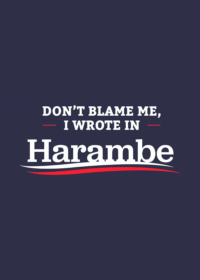 I Wrote In Harambe