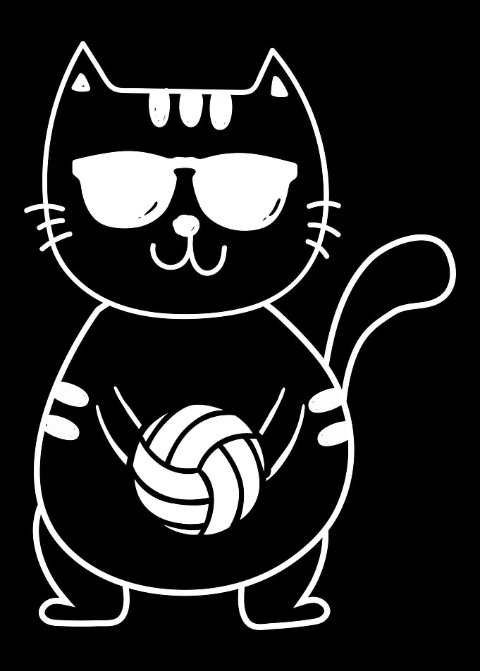 Volleyball