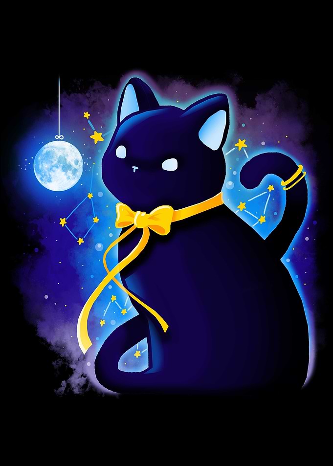 Kitten Stars