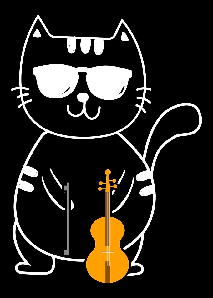 Violin Violinist