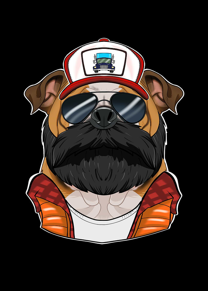 Trucker English Bulldog