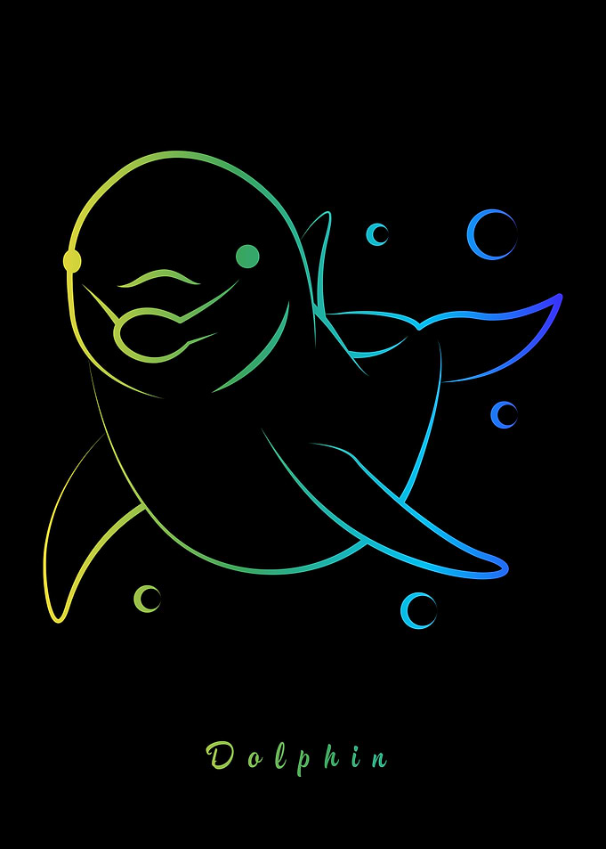 Dolphin Animal