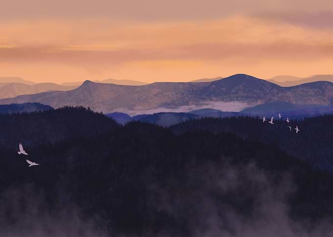 Mountain
