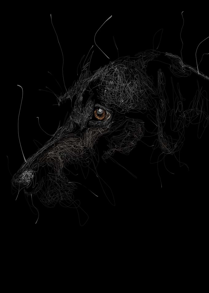 Scribble Dog