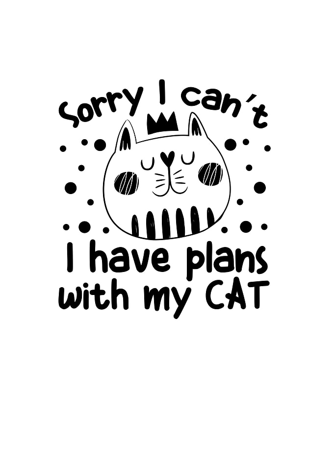 Sorry I Cant I Have Plans