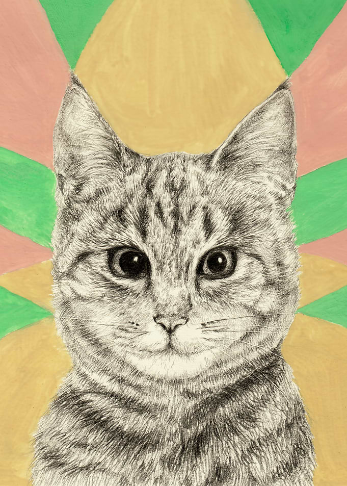 Cat portrait