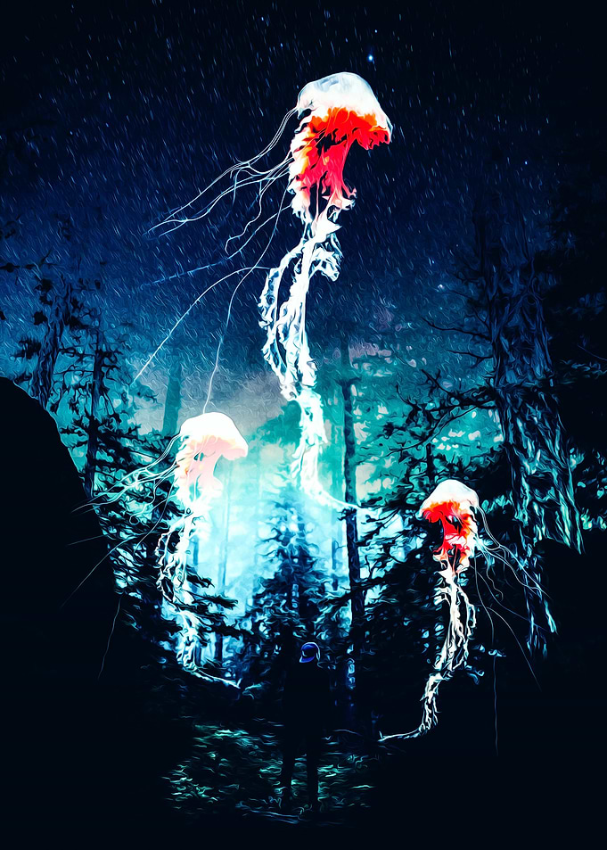 Jellly world