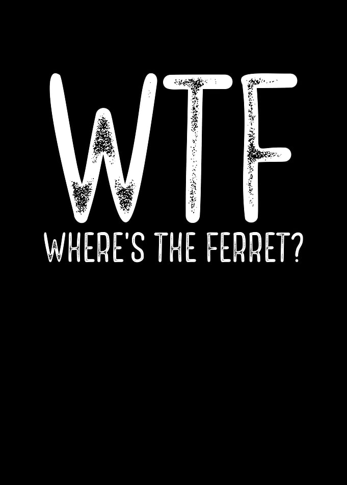 Where is the ferret