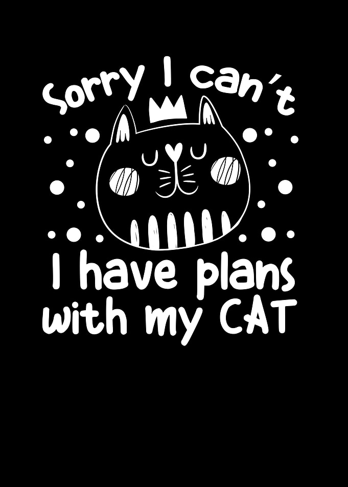 I Cant I Have Plans With