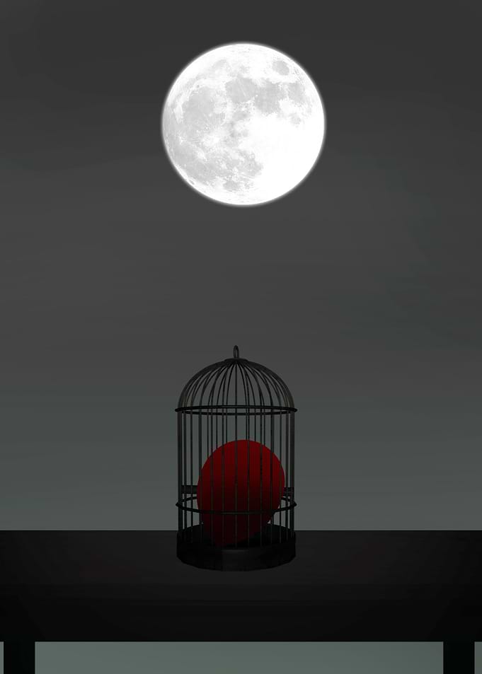 Prisoner of love