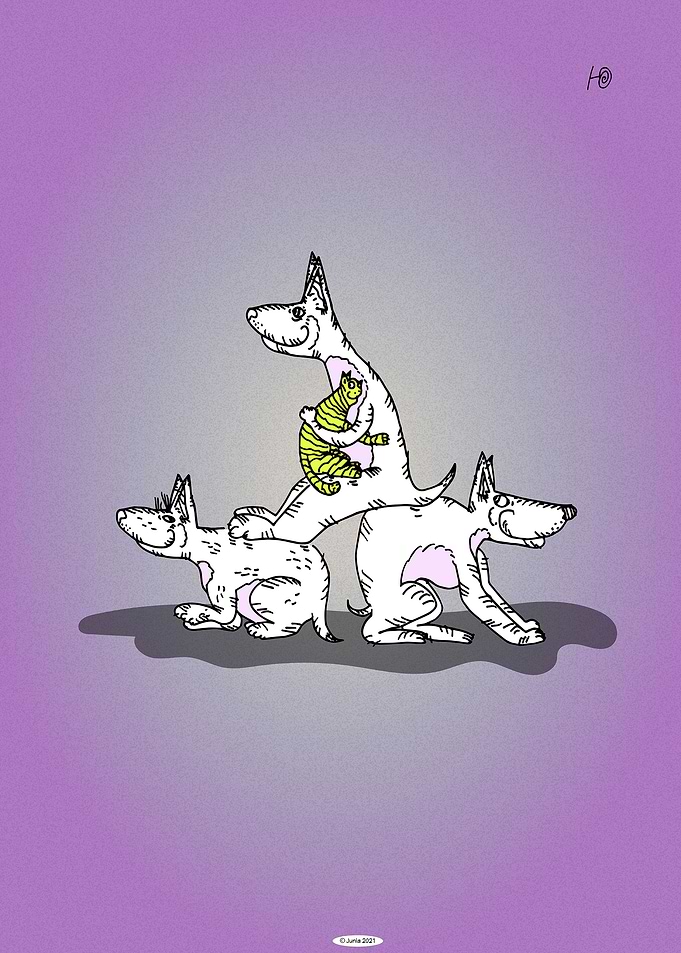 3 Funny Dogs and Lemon Cat