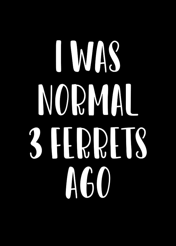 Normal three ferrets ago