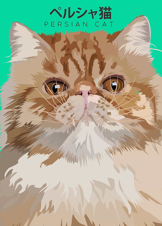 Persian Cat