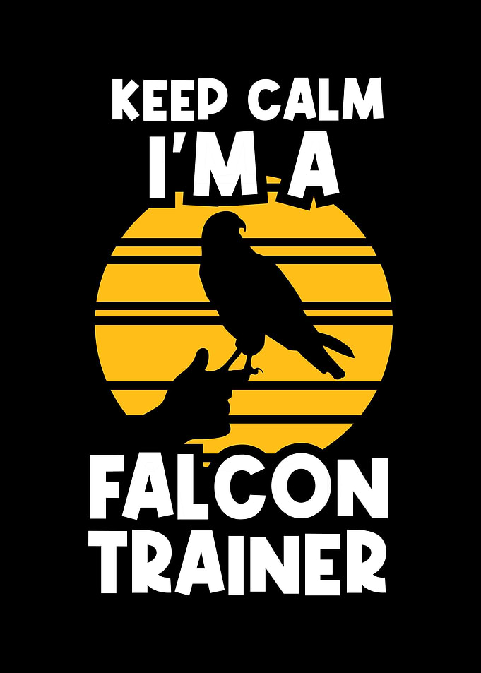 Falconer Falcon