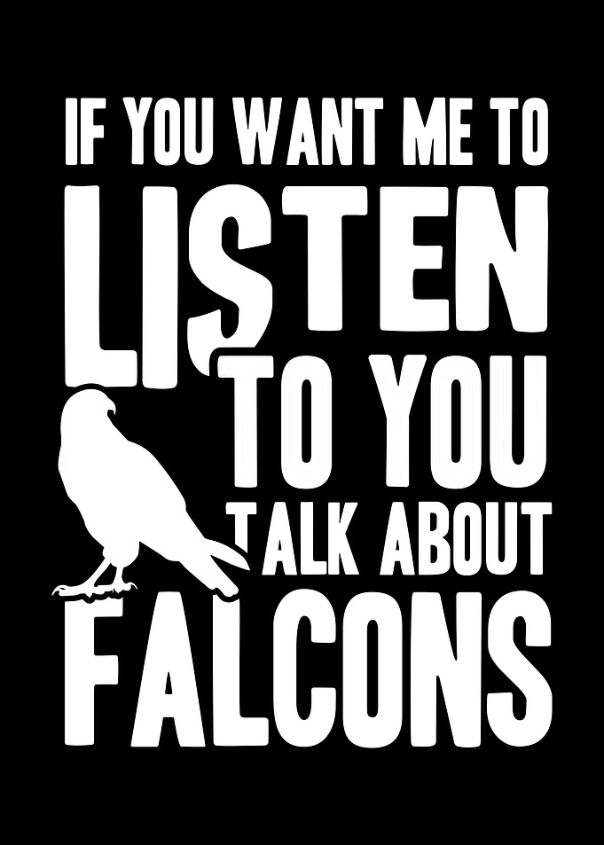 Falconer Falcon