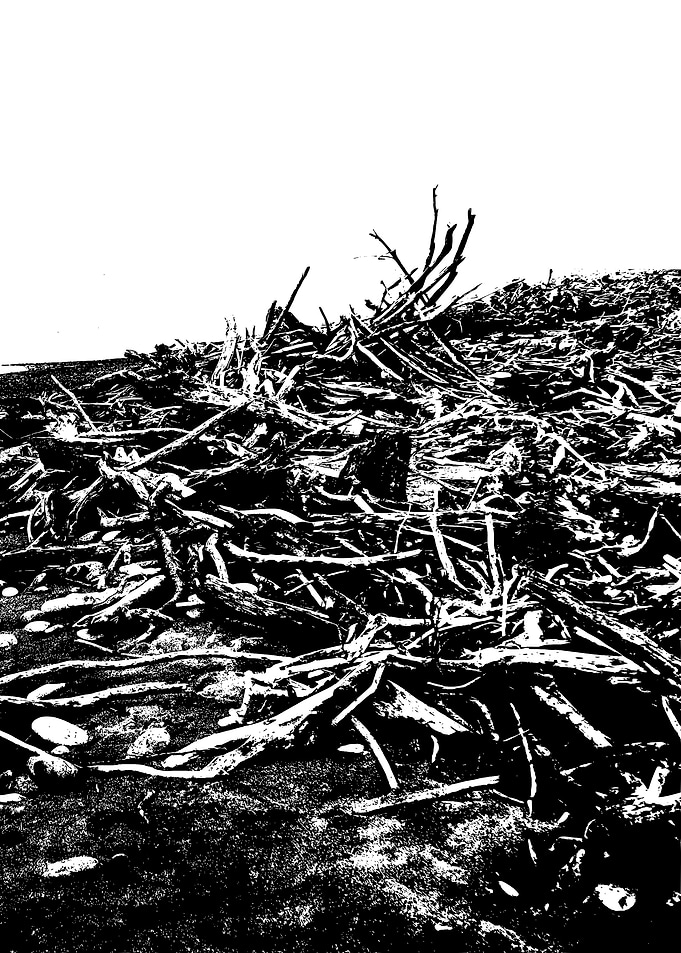 A Pile Of Driftwood