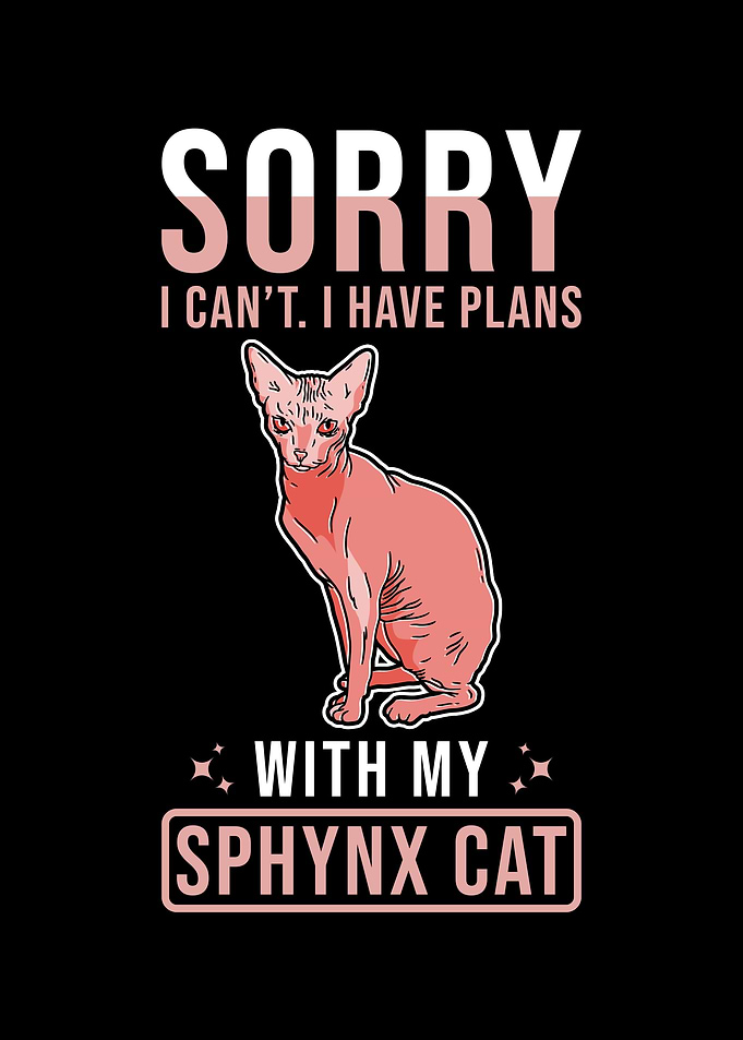 Sphynx Cat