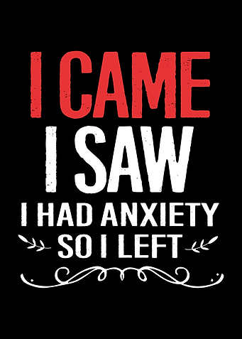 I Came I Saw I Had Anxiety