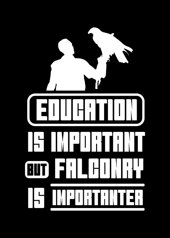 Falconer Falcon