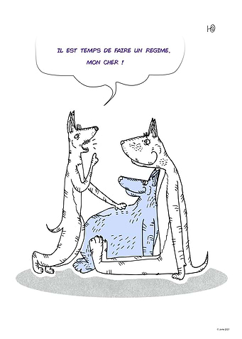 Soon a Diet