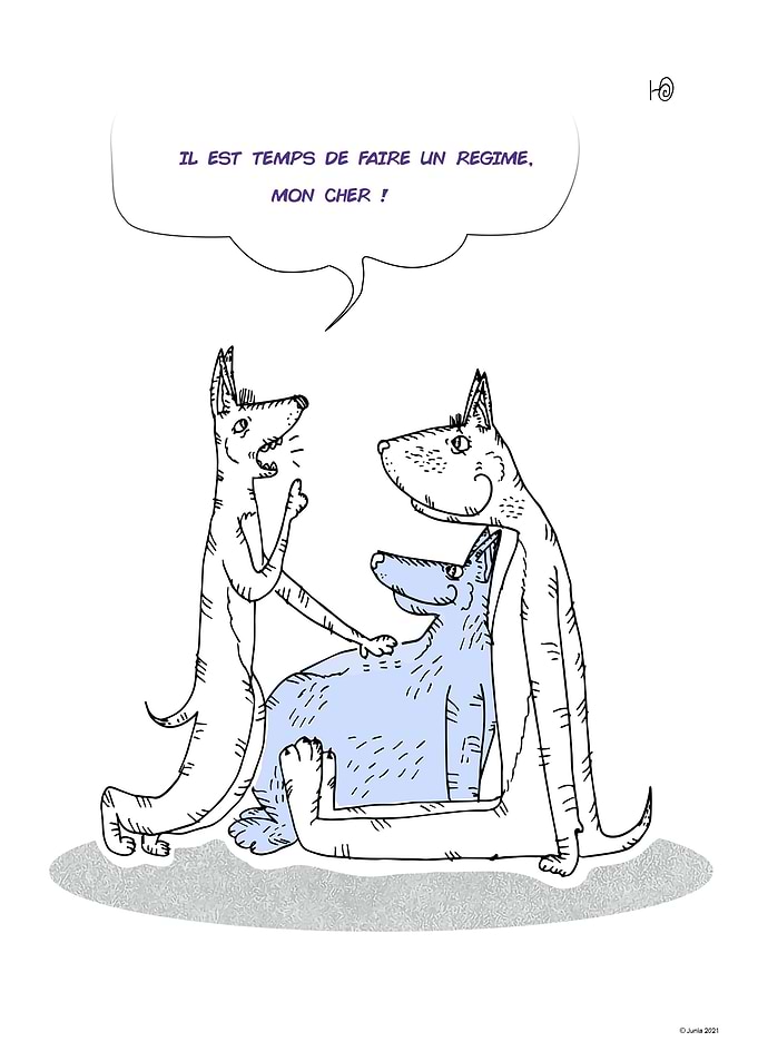 Soon a Diet